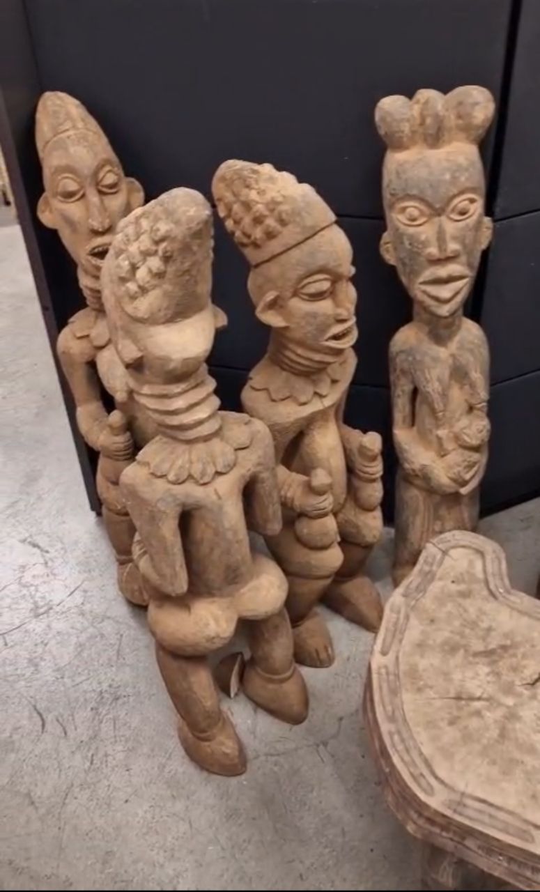 WhatsApp Image 2026-02-18 at 11.13.59 AM